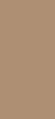 EGGER U250 PM – Caramelbeige Dekoransicht